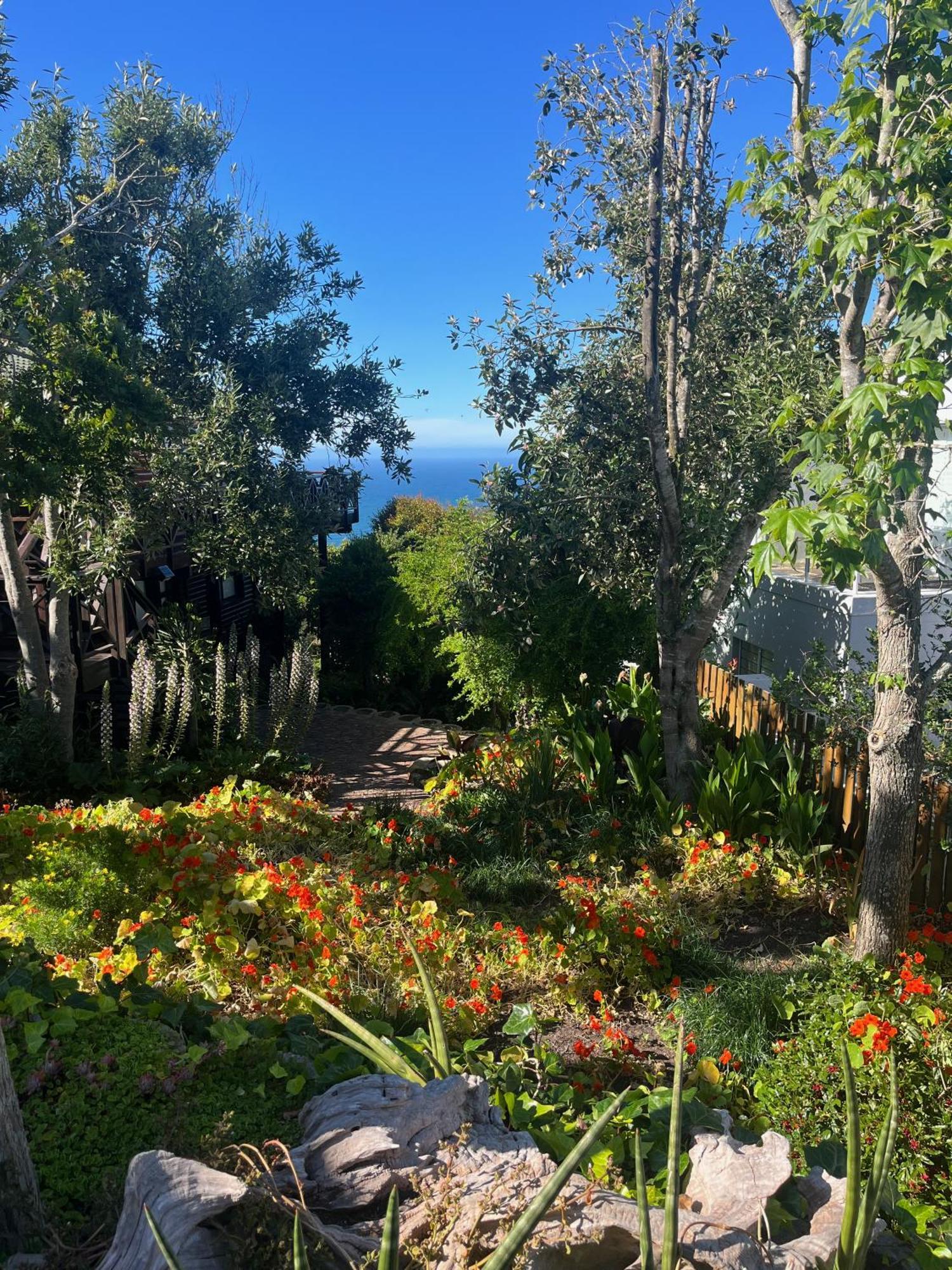 Peaceful Guest Suite With Balcony Views And Garden Setting Brenton-on-Sea Extérieur photo