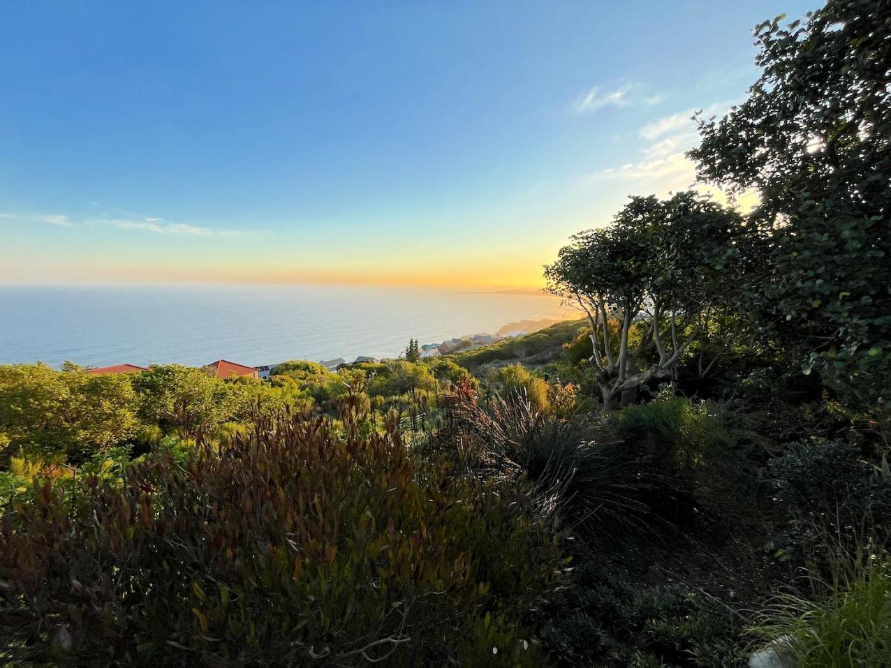 Peaceful Guest Suite With Balcony Views And Garden Setting Brenton-on-Sea Extérieur photo